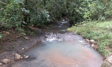 LOTE EN VENTA EN LA LAGUNA SAN CARLOS PANAMÁ