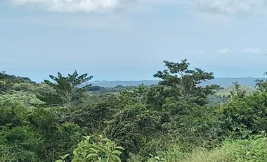 LOTE EN VENTA EN LA LAGUNA SAN CARLOS PANAMÁ