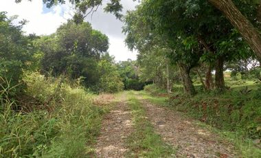 LOTE EN VENTA EN LA LAGUNA SAN CARLOS PANAMÁ