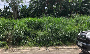 280 sqm Vacant Lot for Sale in Tagaytay Southridge Estates, Cavite