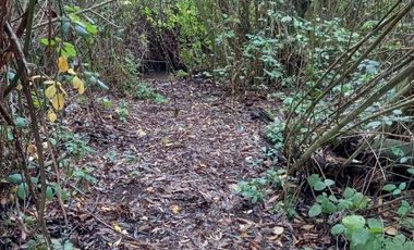 Parcela Con Casa  En Longaví,  V 1278-300-LR-05.24