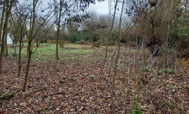 Parcela Con Casa  En Longaví,  V 1278-300-LR-05.24