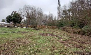 Parcela Con Casa  En Longaví,  V 1278-300-LR-05.24