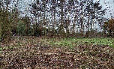 Parcela Con Casa  En Longaví,  V 1278-300-LR-05.24