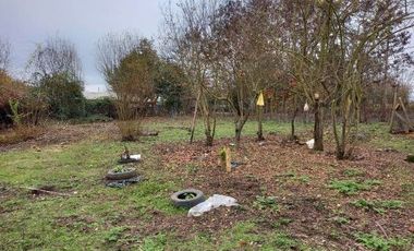 Parcela Con Casa  En Longaví,  V 1278-300-LR-05.24