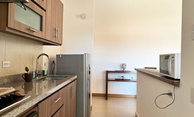 PR20797 Apartamento Amoblado en arriendo en el sector San Antonio