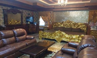 FOR SALE! Mansion with Farm Land at Davao City