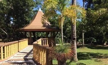 FOR SALE! Mansion with Farm Land at Davao City