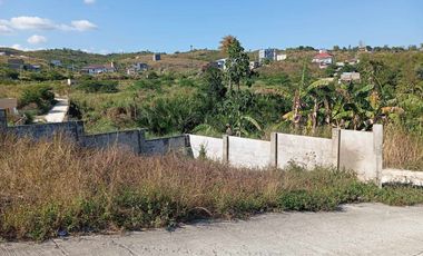 Overlooking Lot inside Subdivision for Sale in Consolacion Cebu