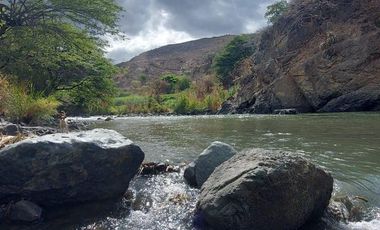 Terreno en venta con sembríos de caña en Catamayo