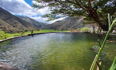 Terreno en venta con sembríos de caña en Catamayo
