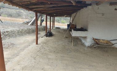 Terreno en venta con sembríos de caña en Catamayo