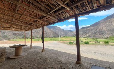 Terreno en venta con sembríos de caña en Catamayo