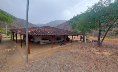 Terreno en venta con sembríos de caña en Catamayo