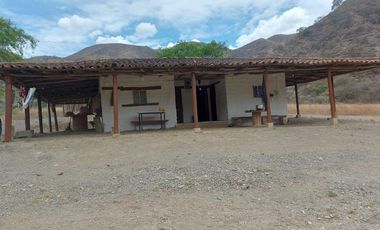 Terreno en venta con sembríos de caña en Catamayo