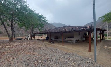Terreno en venta con sembríos de caña en Catamayo
