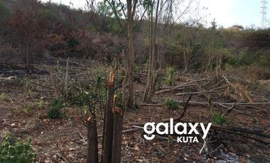 DIJUAL TANAH RAYA OBEL-OBEL SAMBELIA, LOMBOK TIMUR, NTB