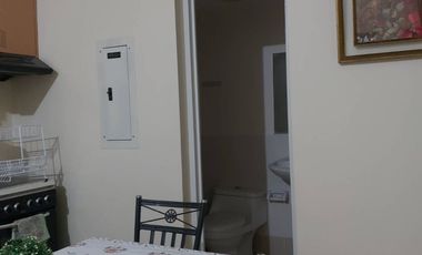 Rent to Own! Furnished 2 Bedroom Unit with Balcony at Palmetto Place Maa Davao City