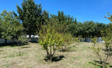 EN PUCON, VENTA HERMOSA CASA EN PARCELA 5000M2 PRECIOSAS VISTAS