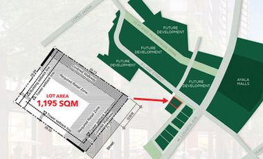 Commercial Lot For Sale Near SM Cebu Along Ther Road