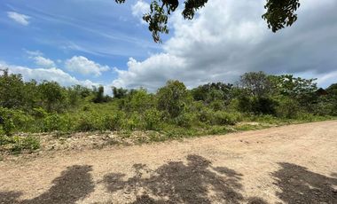 Residential Lot for Sale at Danao, Panglao, Bohol