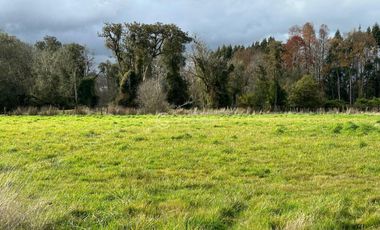 PARCELA EN CONDOMINIO EL ESTERO