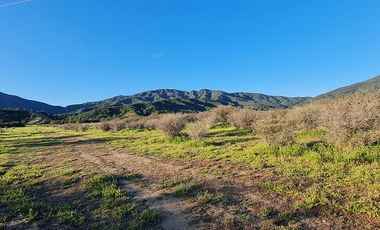 OFERTA UNICA, solo 3 parcelas de 20.000 m2, precio irrepetible!