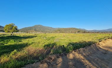 OFERTA UNICA, solo 3 parcelas de 20.000 m2, precio irrepetible!