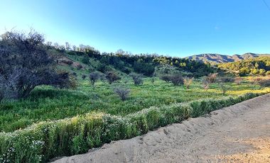 OFERTA UNICA, solo 3 parcelas de 20.000 m2, precio irrepetible!