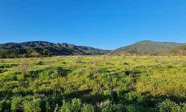 OFERTA UNICA, solo 3 parcelas de 20.000 m2, precio irrepetible!