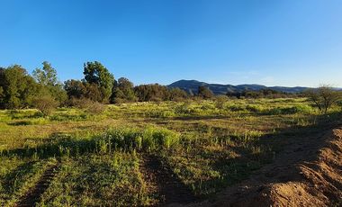 OFERTA UNICA, solo 3 parcelas de 20.000 m2, precio irrepetible!