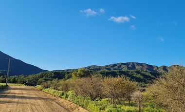 OFERTA UNICA, solo 3 parcelas de 20.000 m2, precio irrepetible!