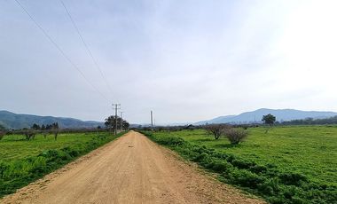 OFERTA UNICA, solo 3 parcelas de 20.000 m2, precio irrepetible!