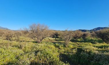 OFERTA UNICA, solo 3 parcelas de 20.000 m2, precio irrepetible!