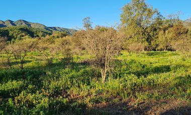 OFERTA UNICA, solo 3 parcelas de 20.000 m2, precio irrepetible!