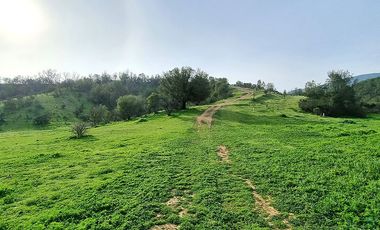 OFERTA UNICA, solo 3 parcelas de 20.000 m2, precio irrepetible!