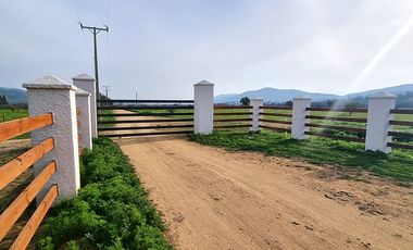 OFERTA UNICA, solo 3 parcelas de 20.000 m2, precio irrepetible!