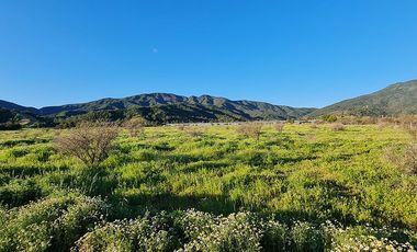 OFERTA UNICA, solo 3 parcelas de 20.000 m2, precio irrepetible!