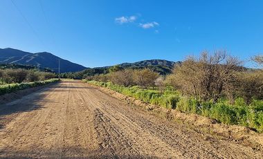 OFERTA UNICA, solo 3 parcelas de 20.000 m2, precio irrepetible!