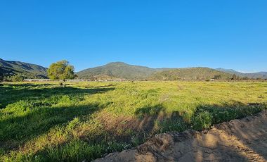 OFERTA UNICA, solo 3 parcelas de 20.000 m2, precio irrepetible!