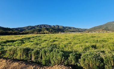 OFERTA UNICA, solo 3 parcelas de 20.000 m2, precio irrepetible!