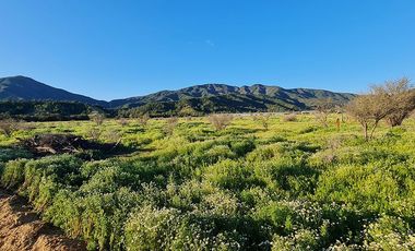 OFERTA UNICA, solo 3 parcelas de 20.000 m2, precio irrepetible!