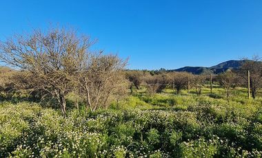 OFERTA UNICA, solo 3 parcelas de 20.000 m2, precio irrepetible!