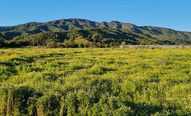 OFERTA UNICA, solo 3 parcelas de 20.000 m2, precio irrepetible!