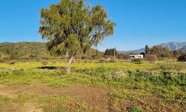 OFERTA UNICA, solo 3 parcelas de 20.000 m2, precio irrepetible!