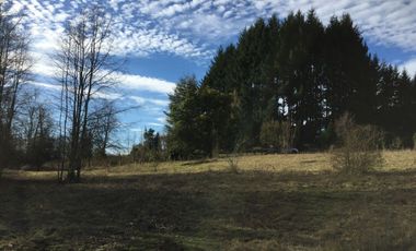 Parcela en venta camino Villarrica – Pucón km 9