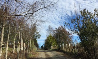 Parcela en venta camino Villarrica – Pucón km 9