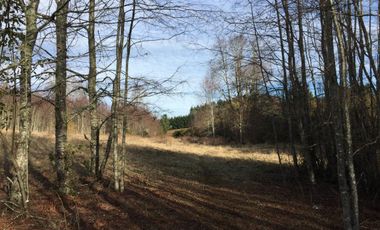 Parcela en venta camino Villarrica – Pucón km 9