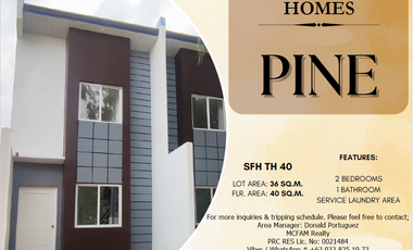 HOUSE AND LOT FOR SALE IN ANGONO RIZAL - PINE TH