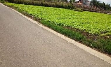 630 M2 Tanah Siap Bangun, Jl Haji Gofur Pakuhaji, Bandung Barat.